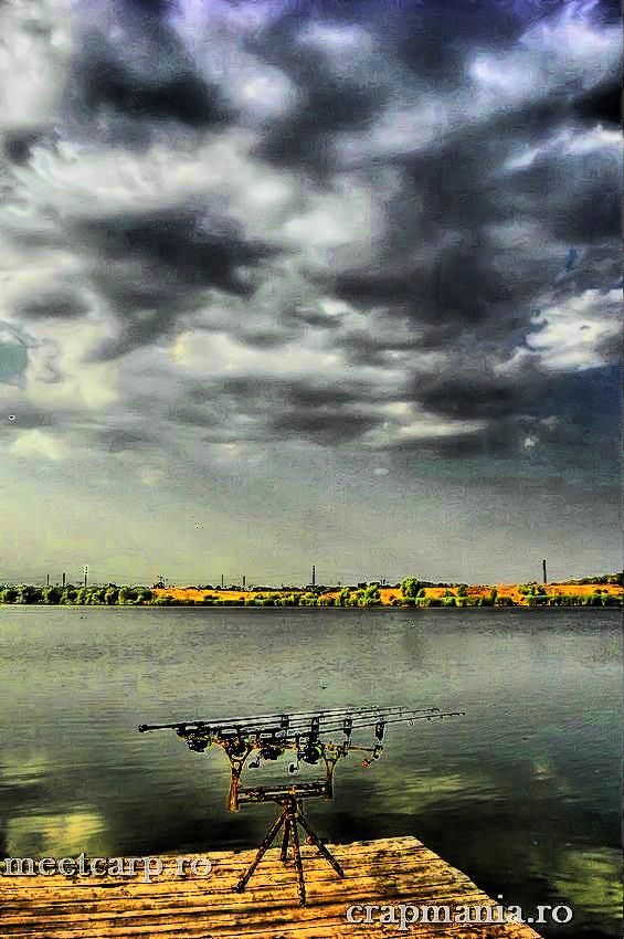 Meet Carp Romanian Awards - 2012 - 1006214-drhdrmode3.jpg